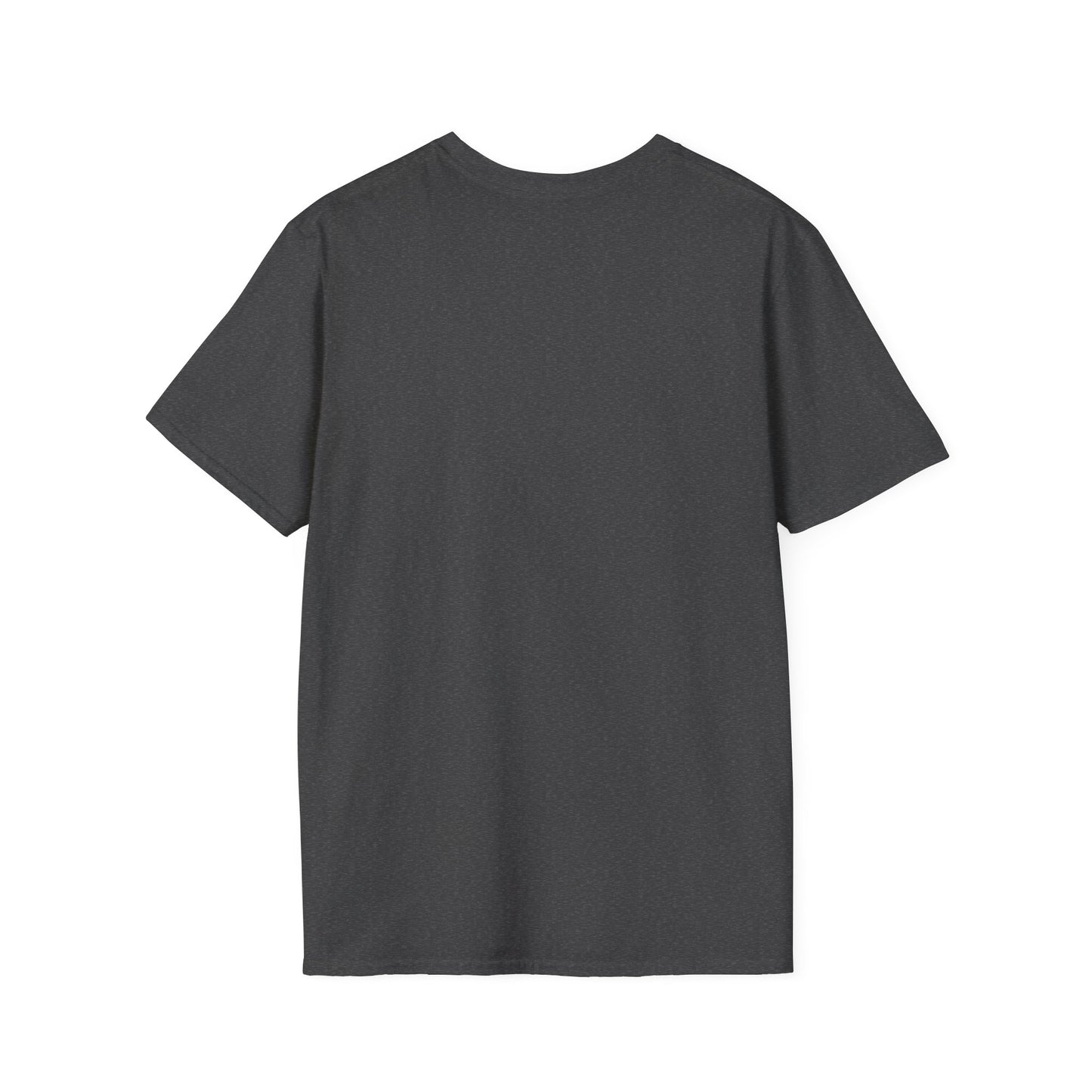 We survived hurricane Milton, Small Logo, Unisex Softstyle T-Shirt
