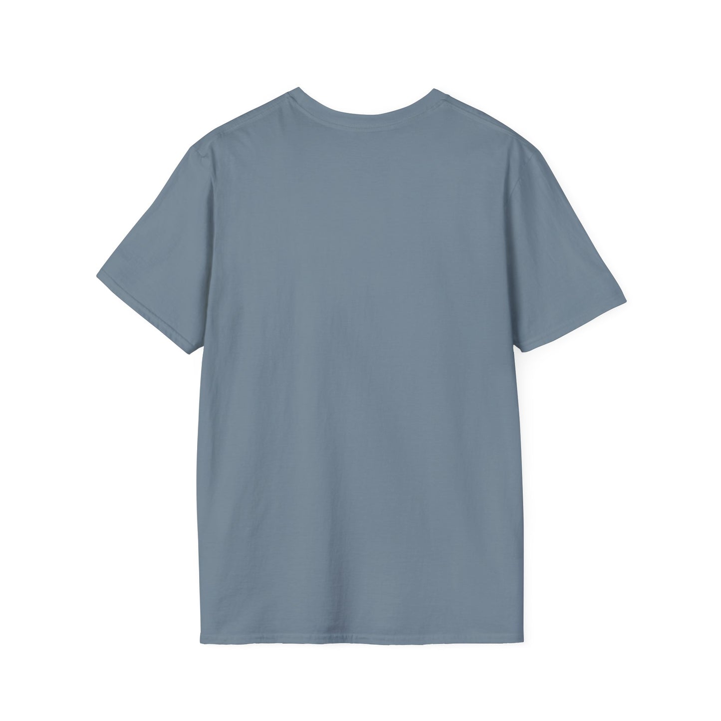 We survived hurricane Milton, Small Logo, Unisex Softstyle T-Shirt