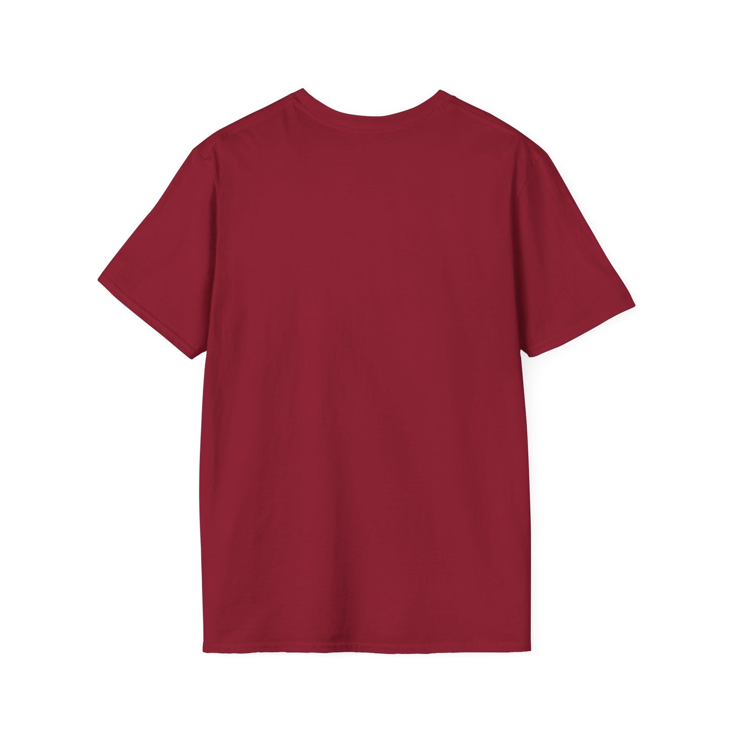 We survived hurricane Milton, Small Logo, Unisex Softstyle T-Shirt