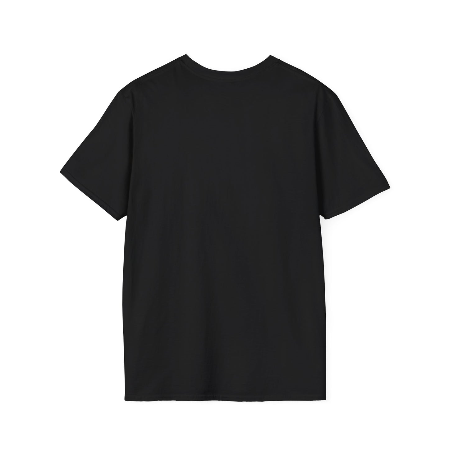 We survived hurricane Milton, Small Logo, Unisex Softstyle T-Shirt