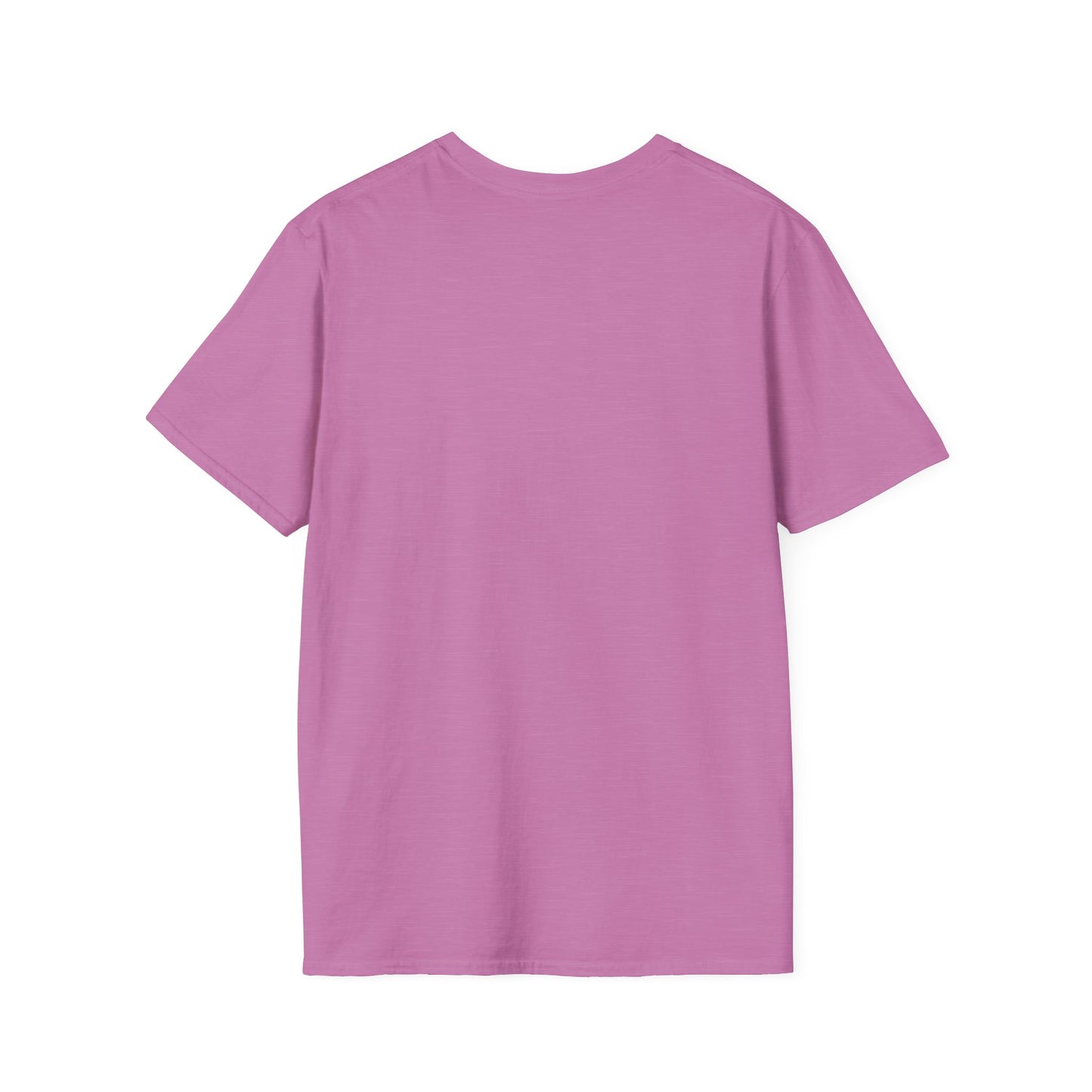 We survived hurricane Milton, Small Logo, Unisex Softstyle T-Shirt